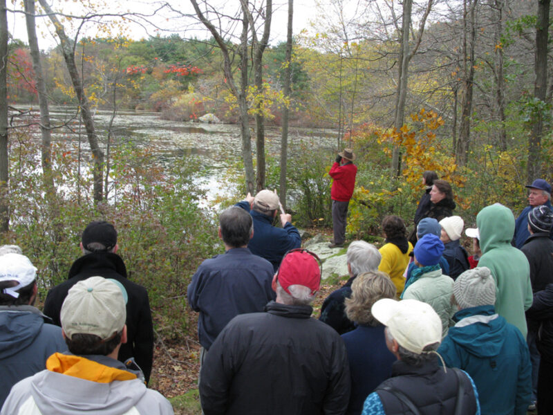 Foundry Pond & Glastonbury Abbey - Foundry Walk - Hingham Land ...