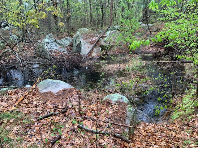 Triphammer Pond Conservation Area