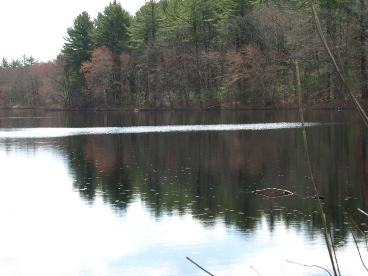 Hingham Land Conservation Trust