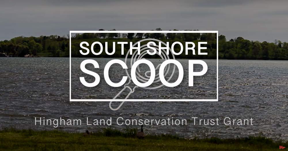 southshore-schoop-screenshot