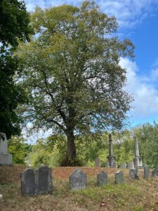 Hingham-cemetery