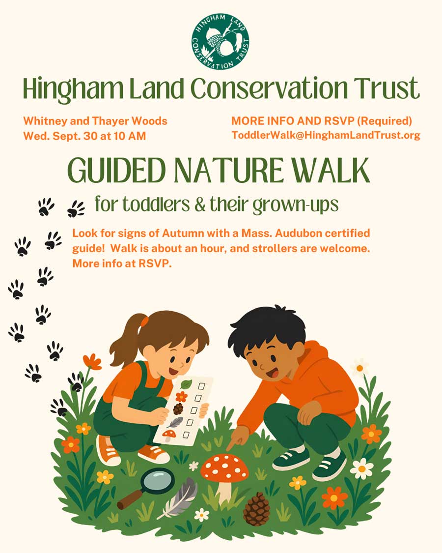 Toddler Walk Flyer